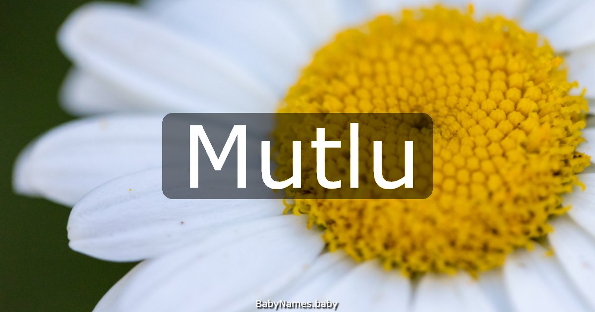 Mutlu