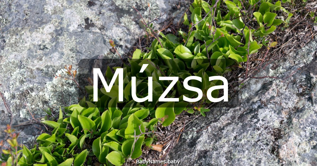 Múzsa