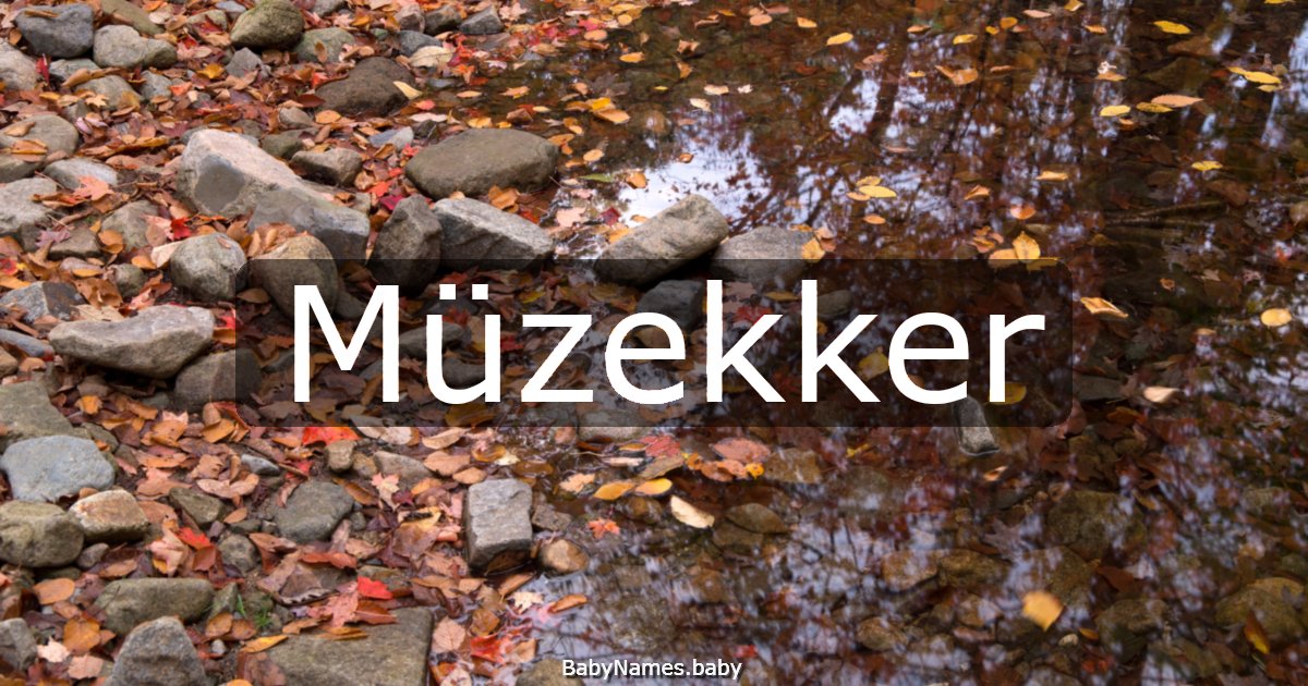 Müzekker