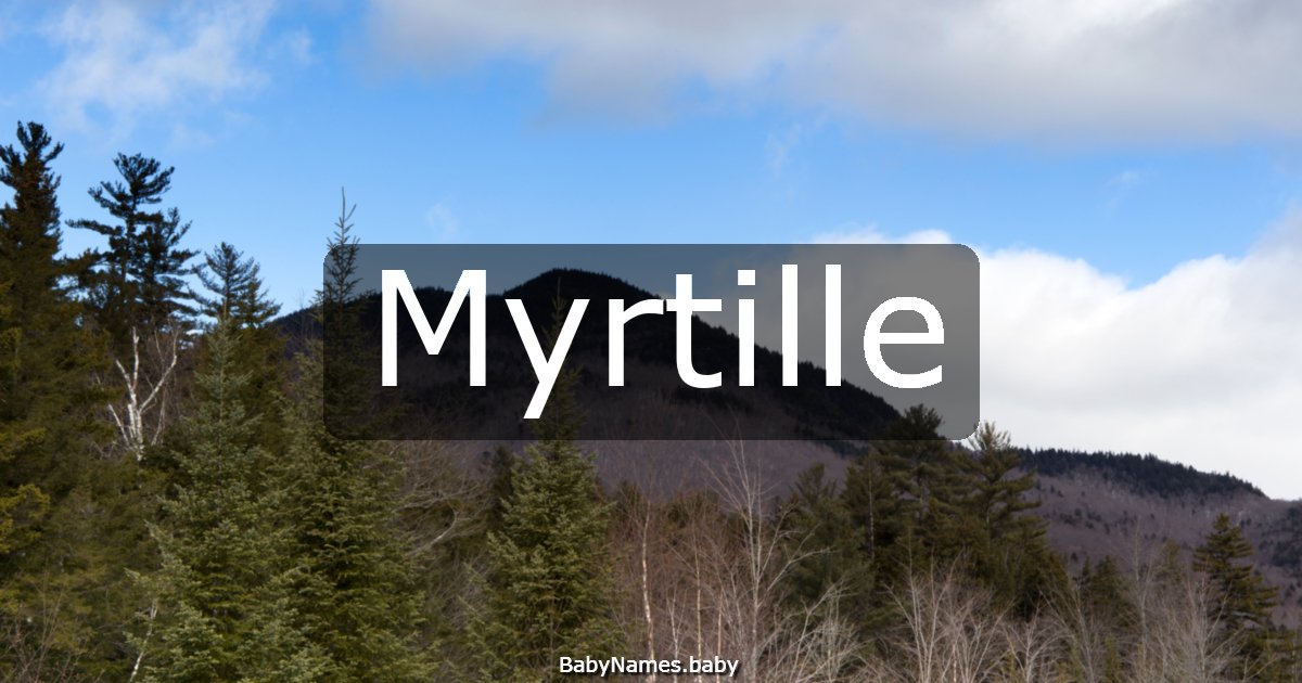Myrtille