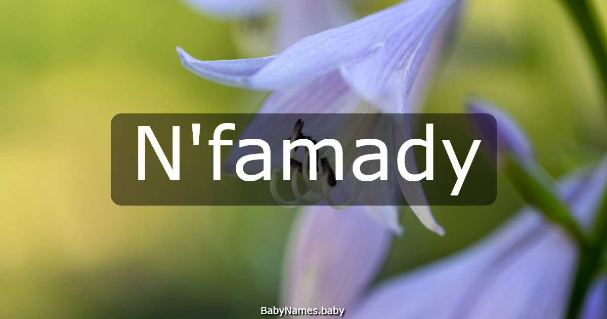 N'famady