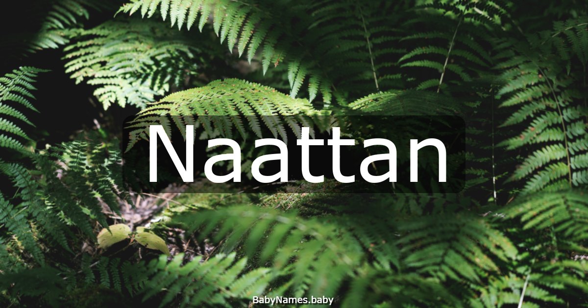 Naattan