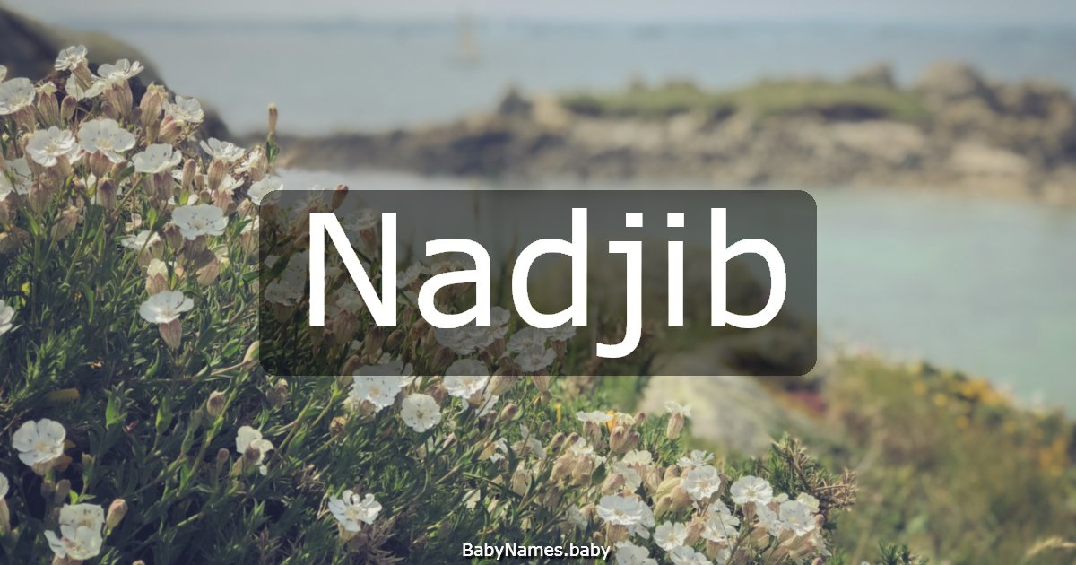 Nadjib