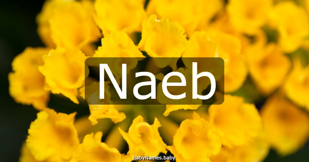 Naeb