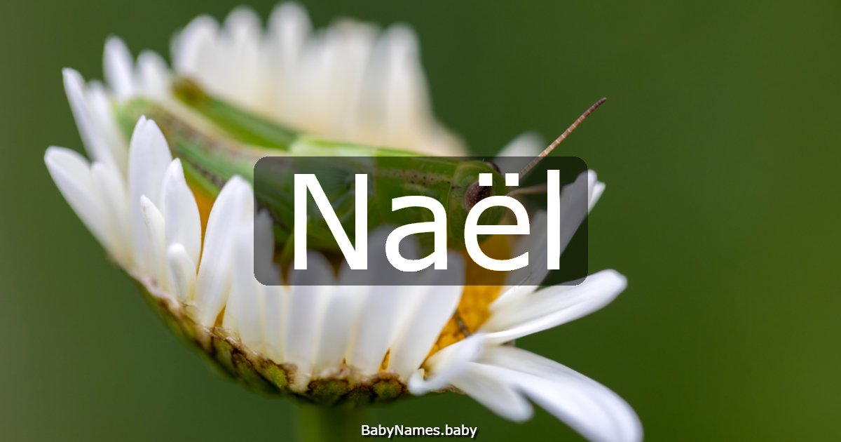 Naël