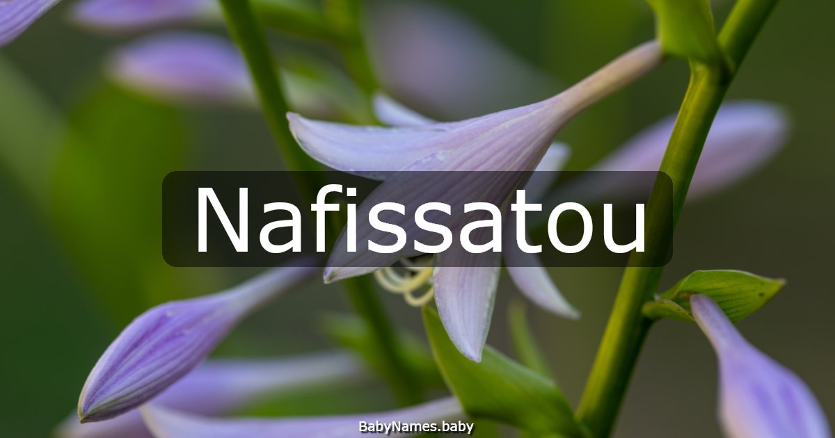 Nafissatou