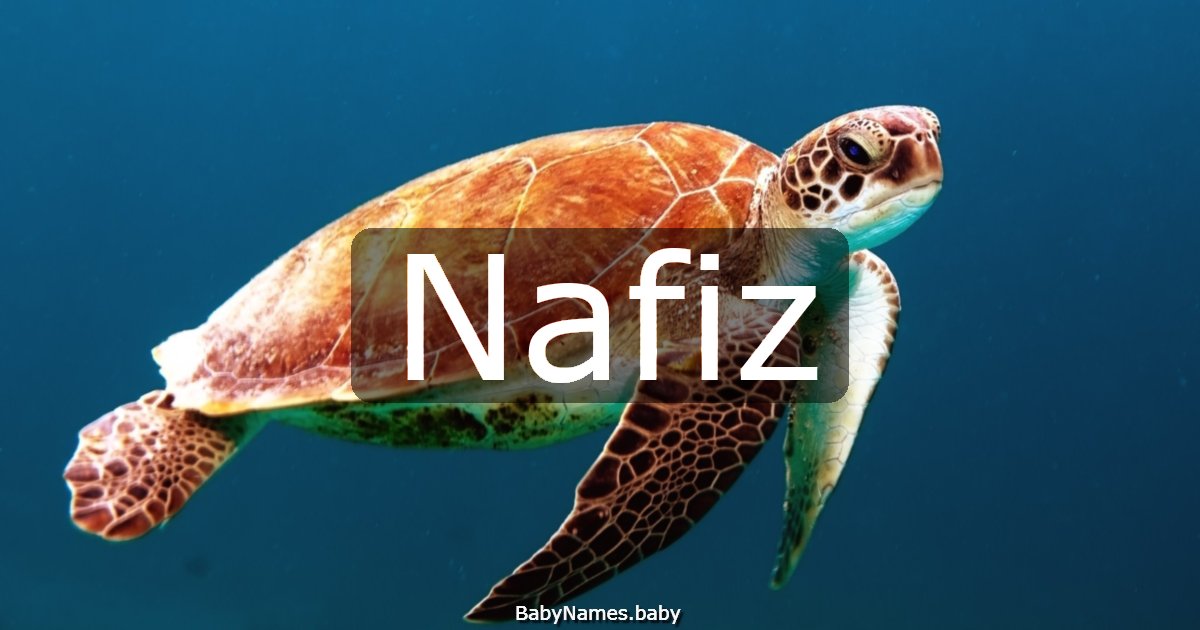 Nafiz
