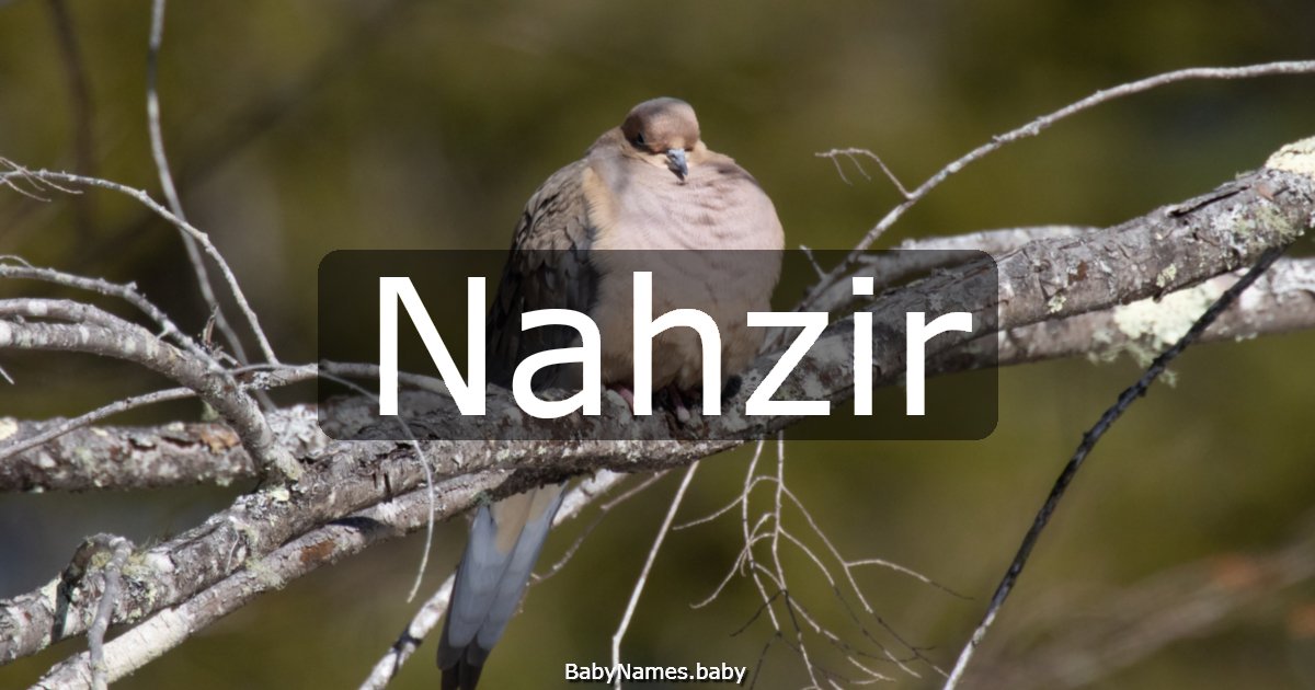Nahzir