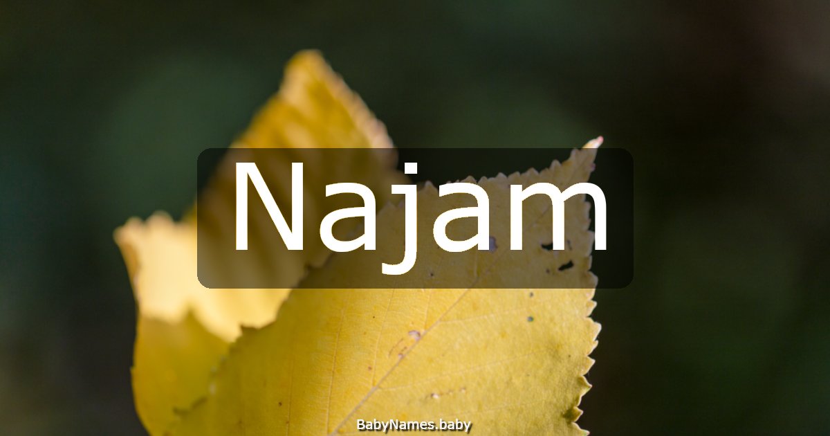 Najam