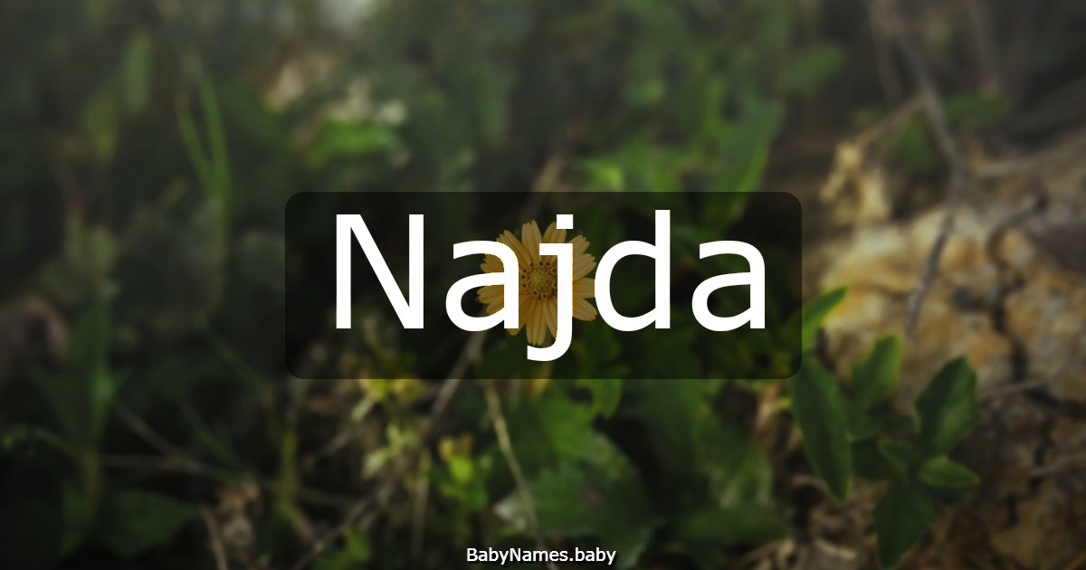 Najda