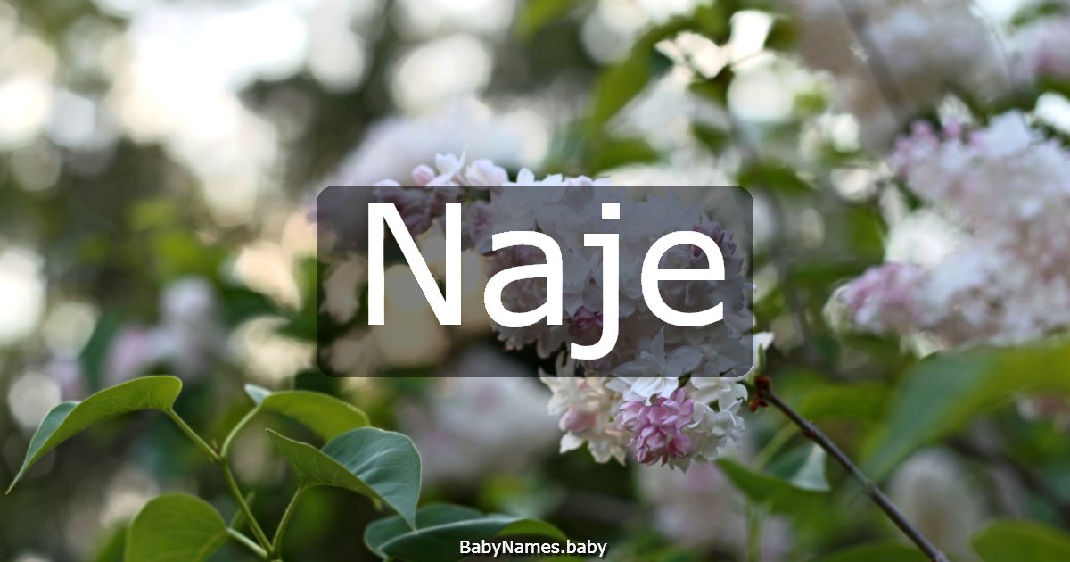 Naje