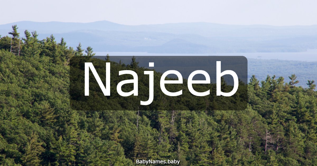 Najeeb