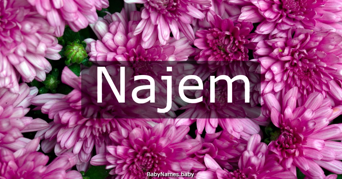 Najem