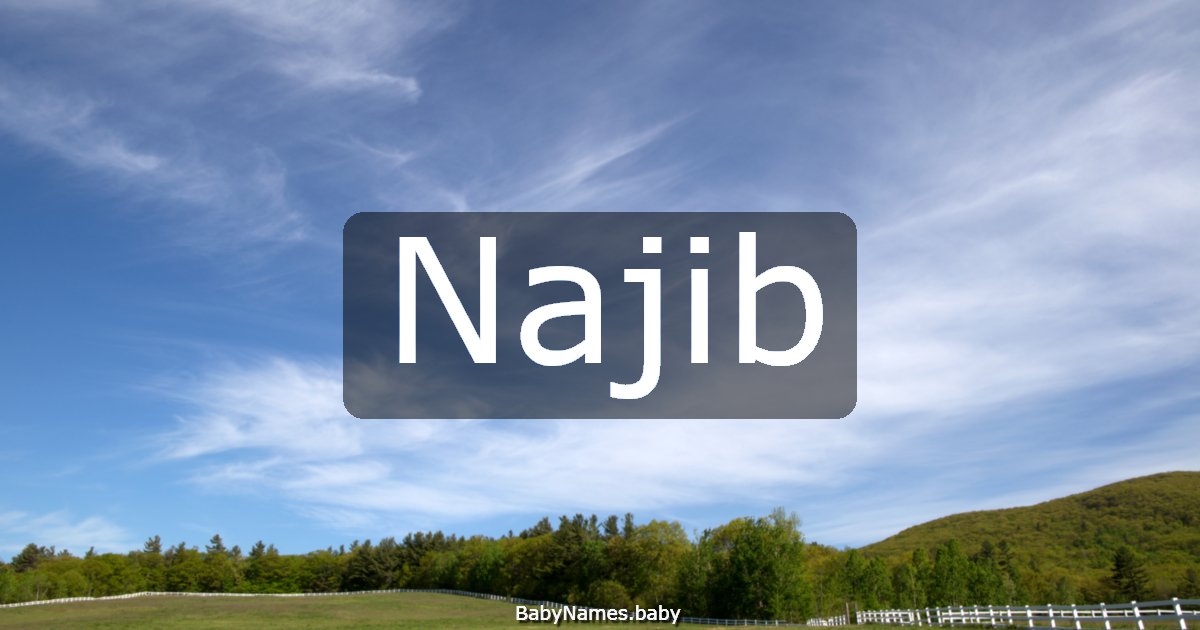 Najib