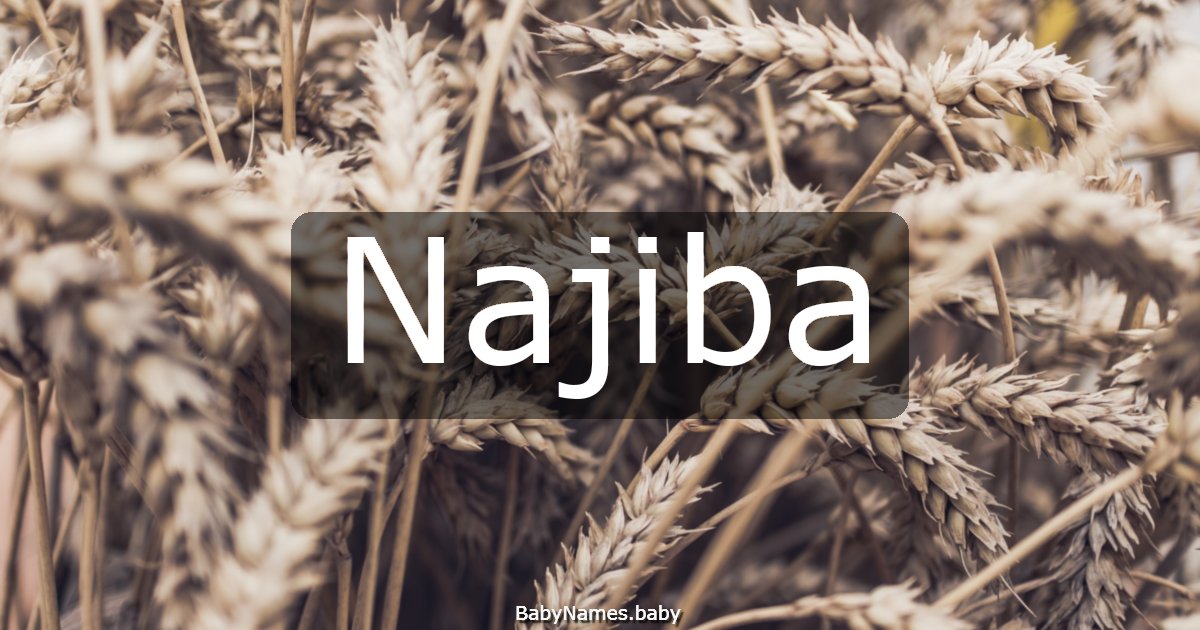 Najiba
