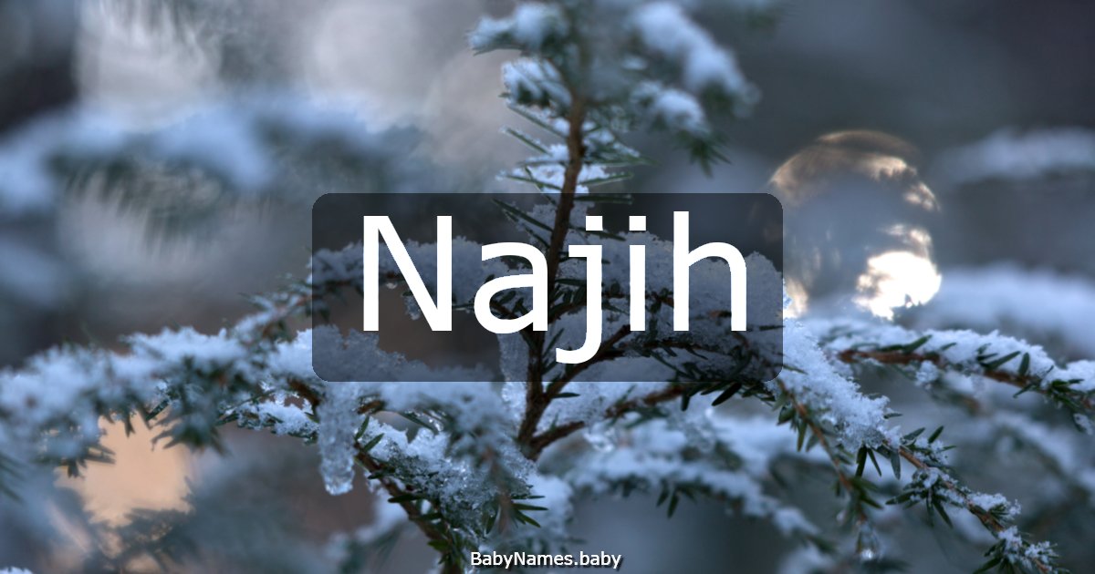 Najih