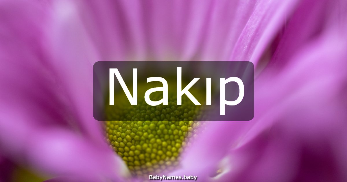 Nakıp