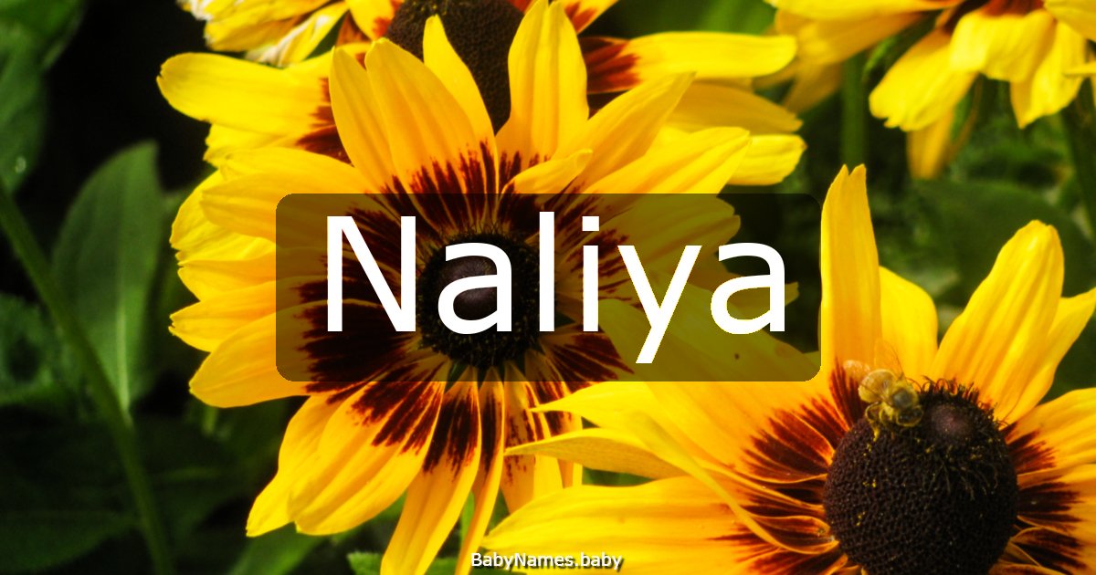 Naliya