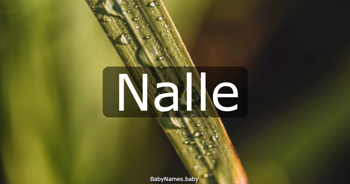 Nalle
