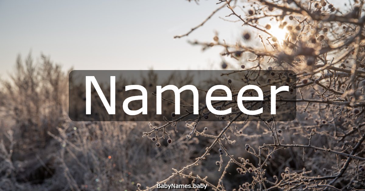 Nameer