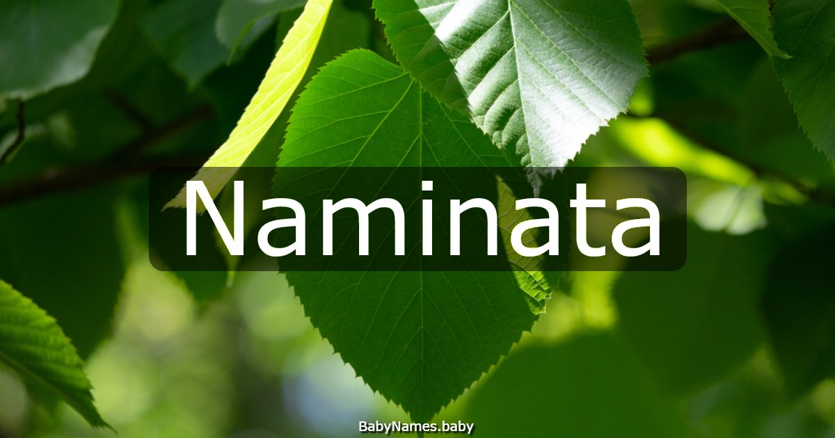 Naminata