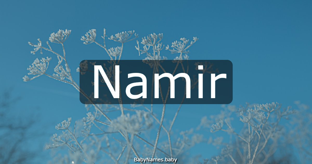 Namir