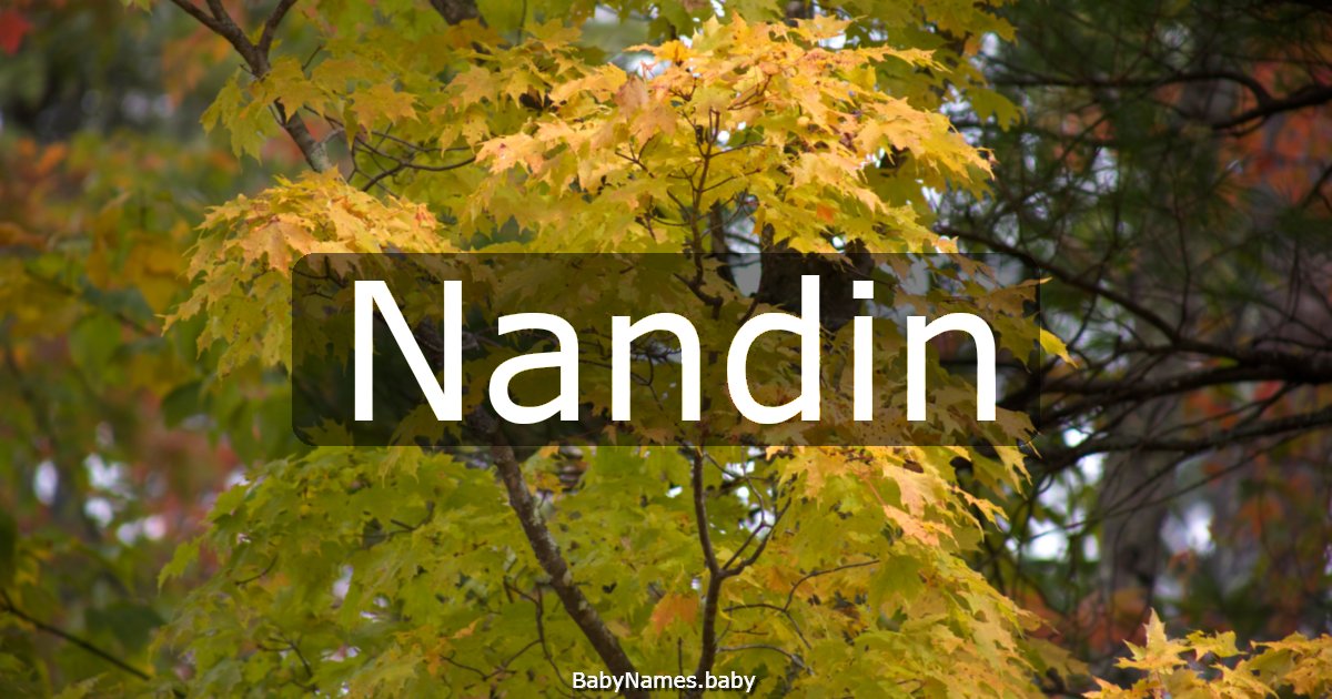 Nandin