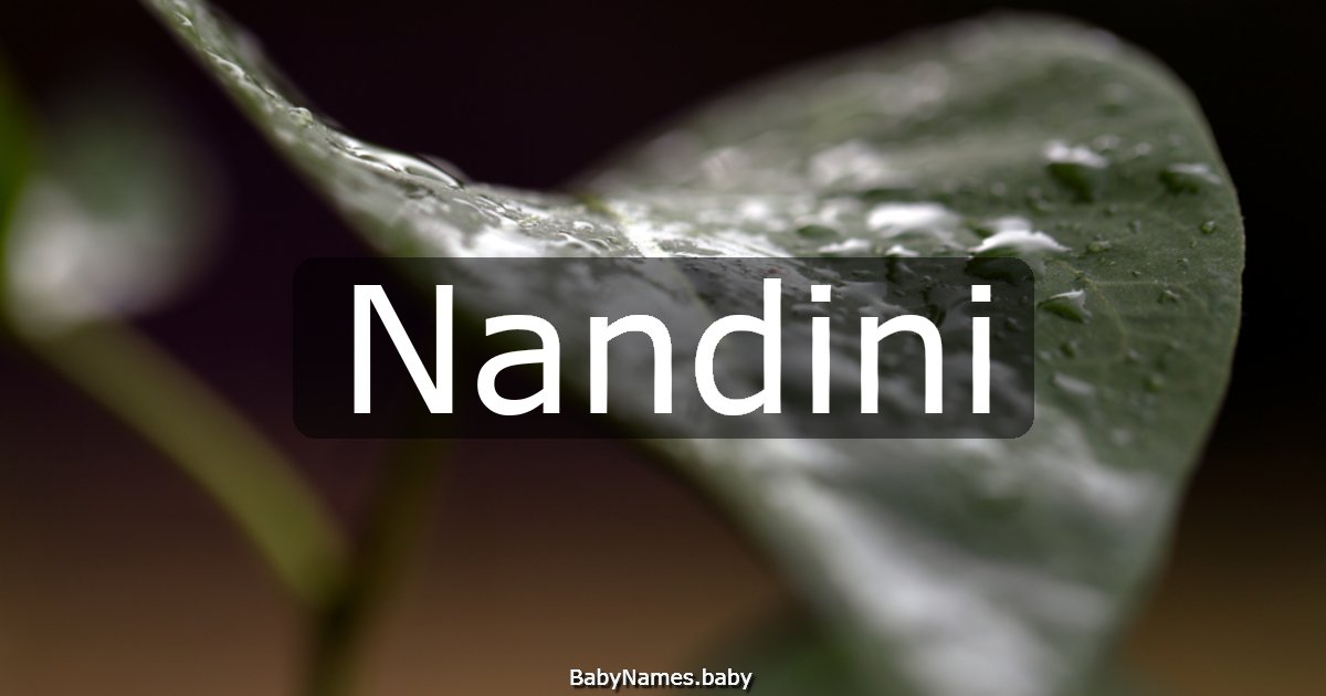 Nandini