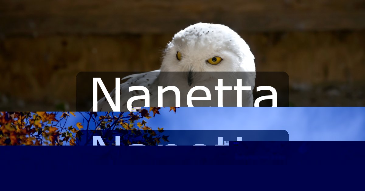 Nanetta