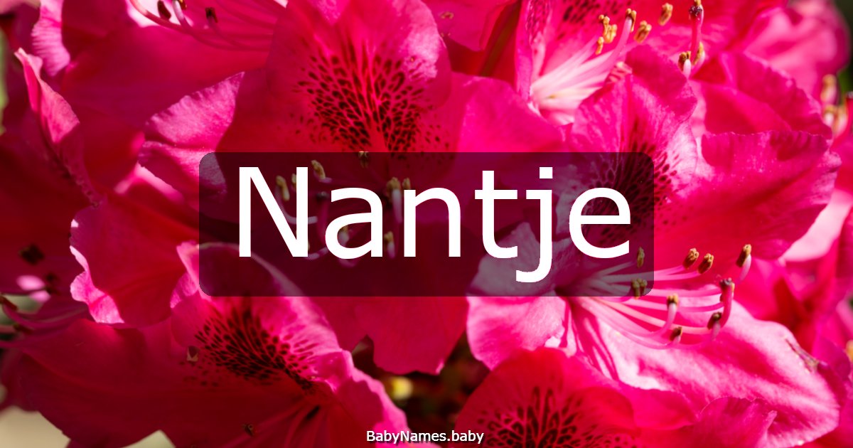 Nantje