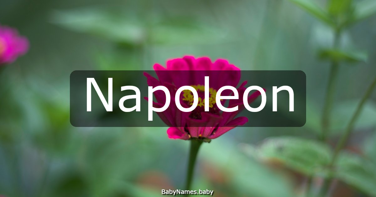 Napoleon