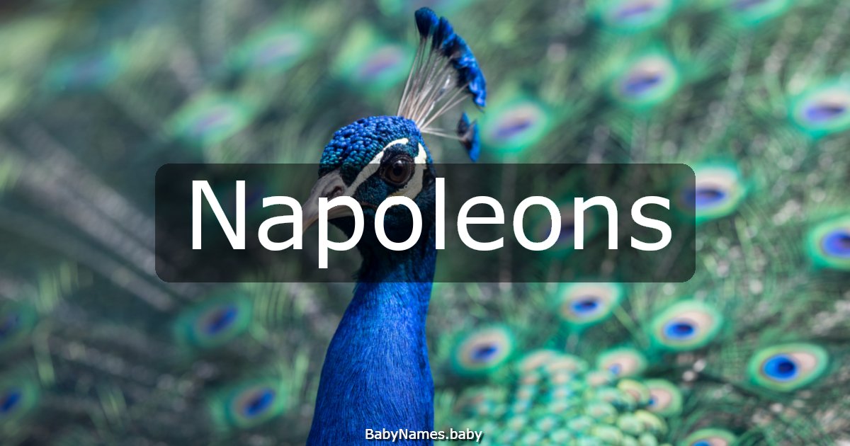 Napoleons