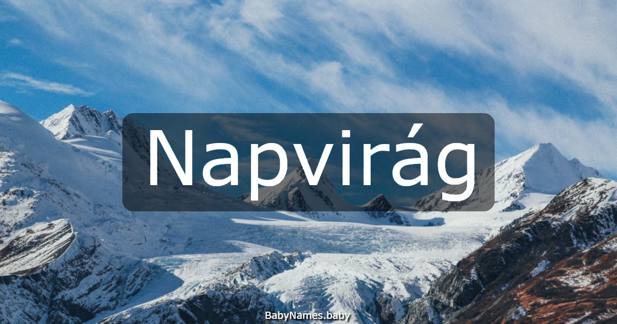 Napvirág