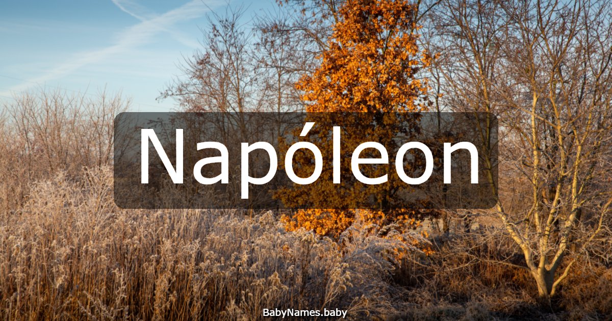 Napóleon
