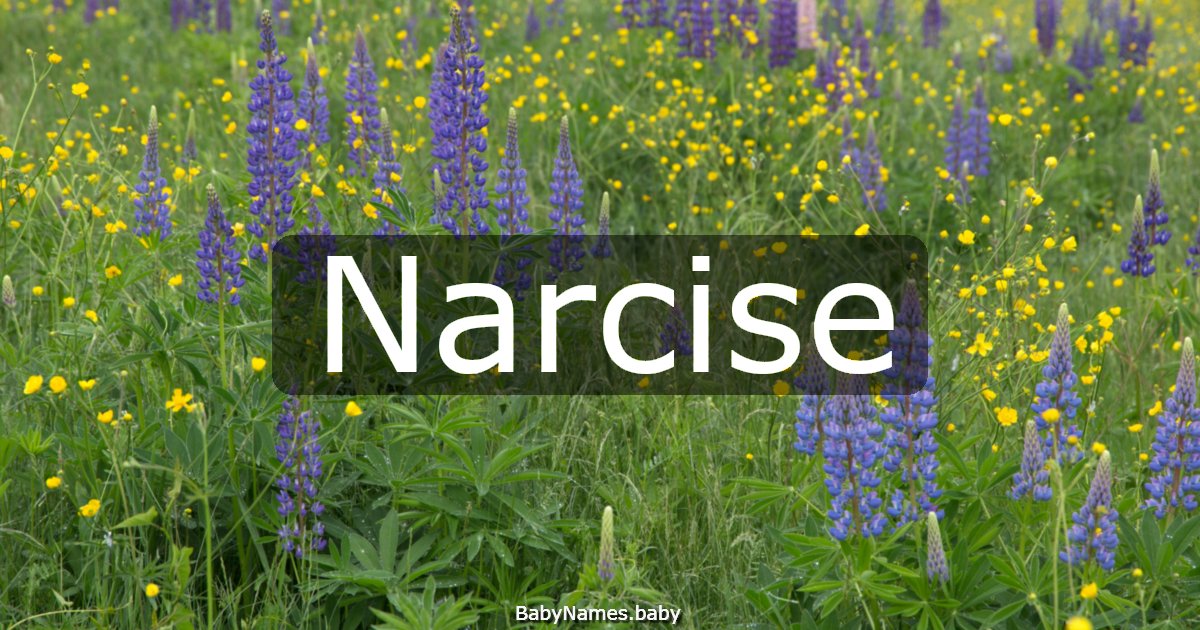 Narcise