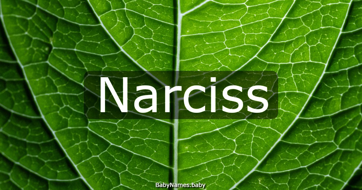 Narciss