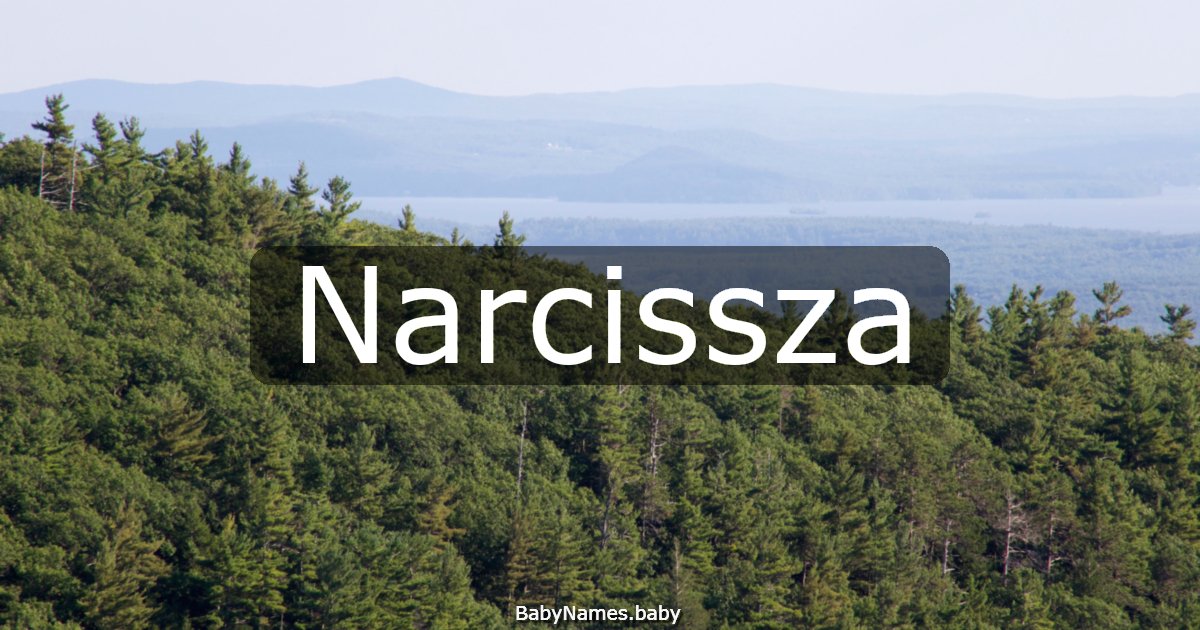 Narcissza