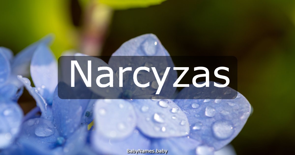 Narcyzas