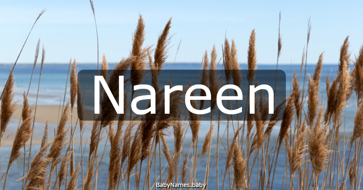 Nareen