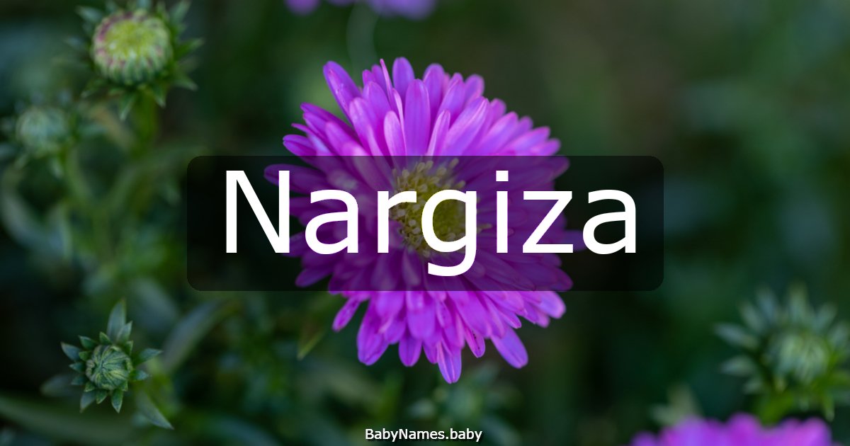 Nargiza
