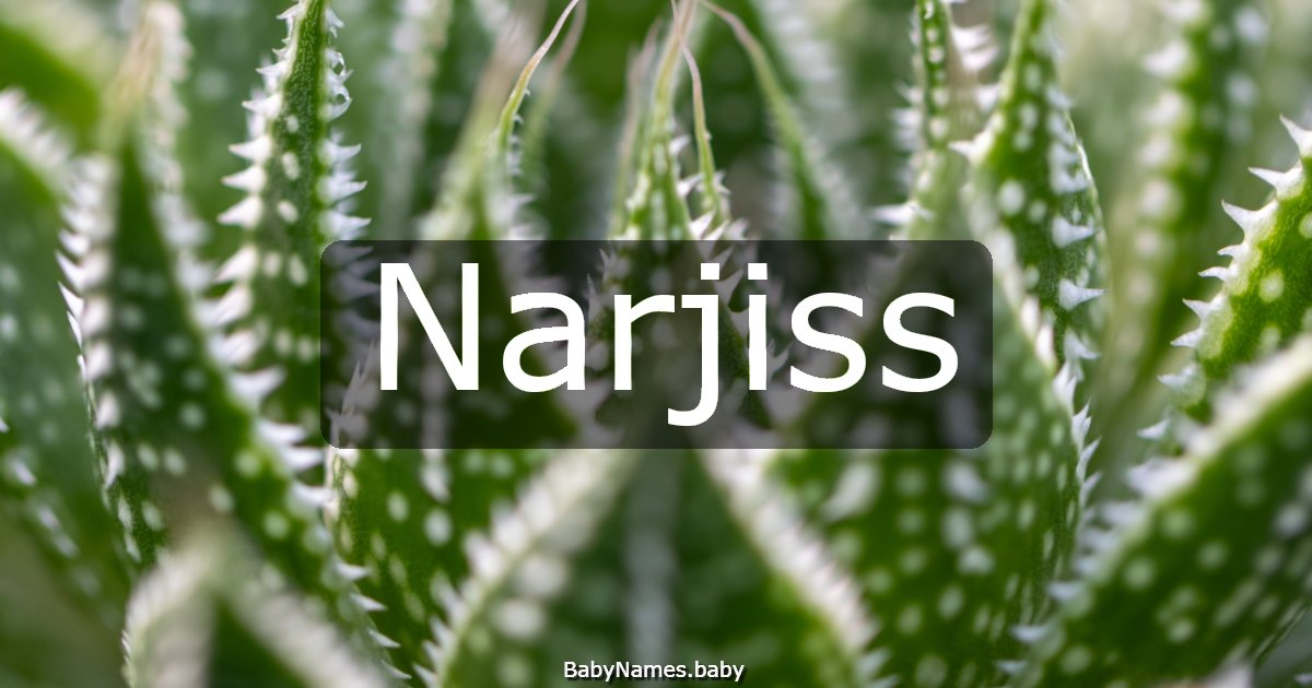 Narjiss