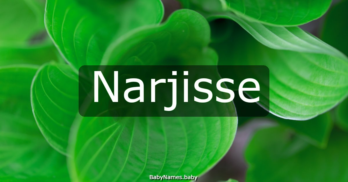 Narjisse