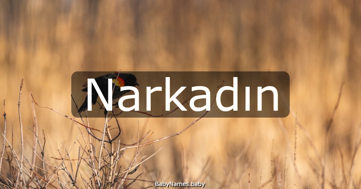 Narkadın