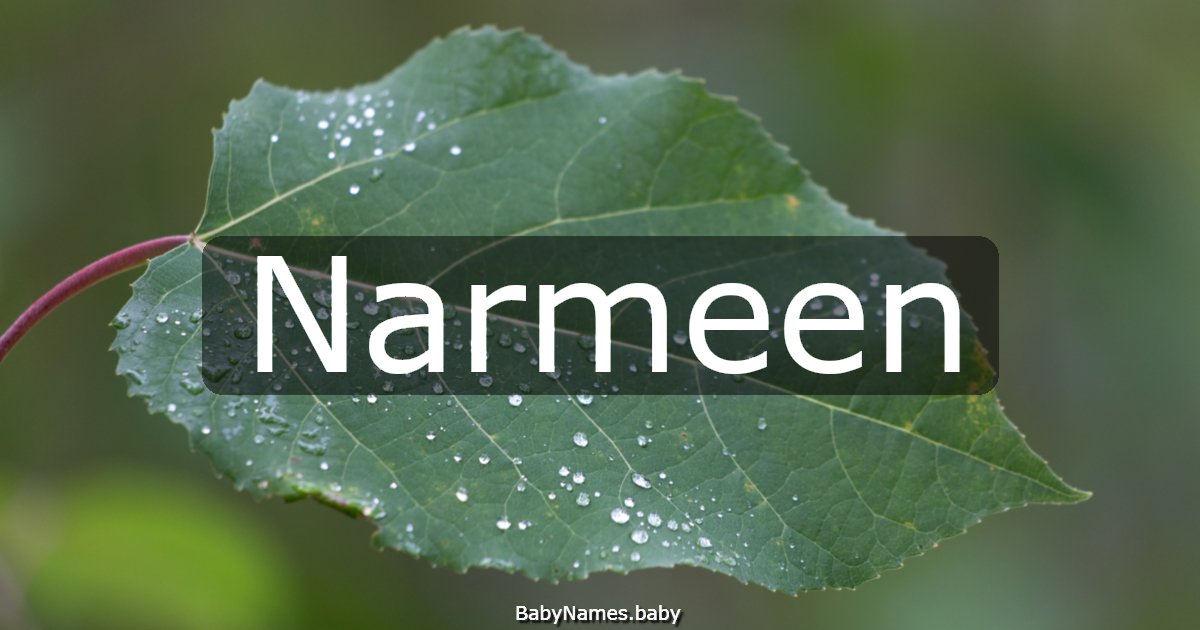 Narmeen