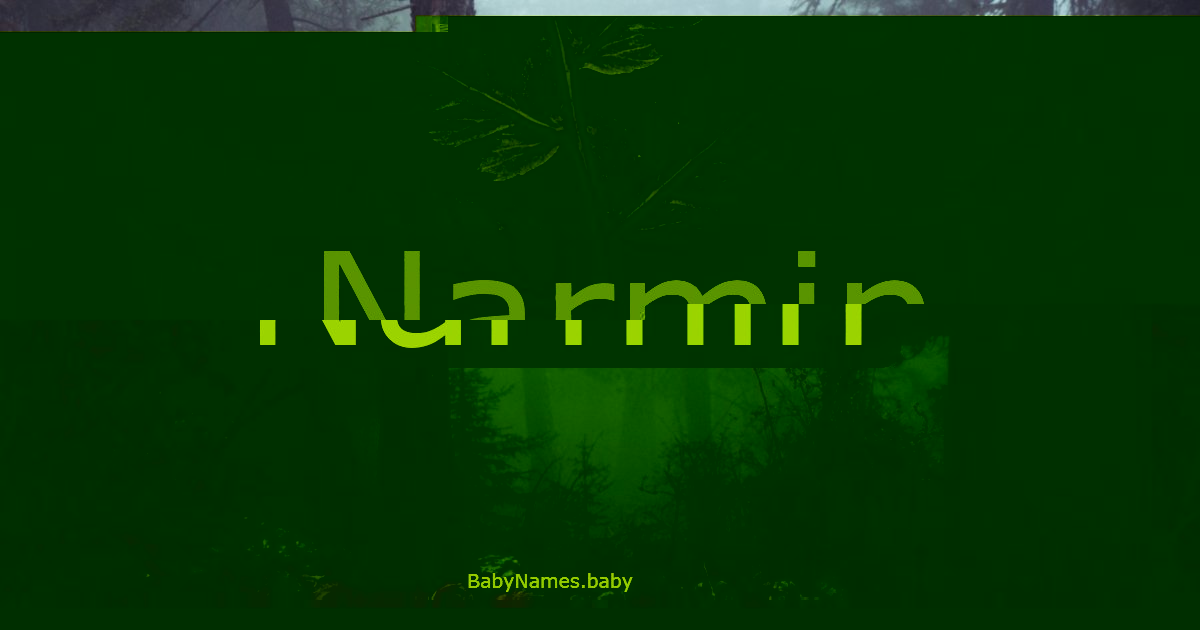 Narmin