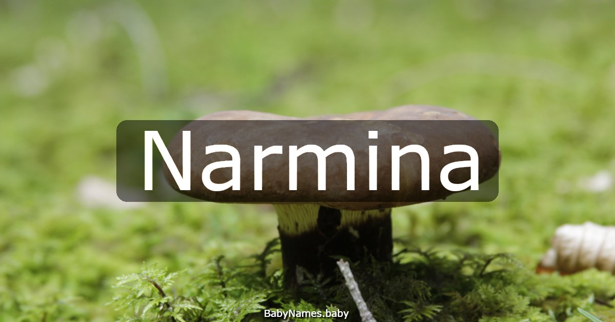 Narmina