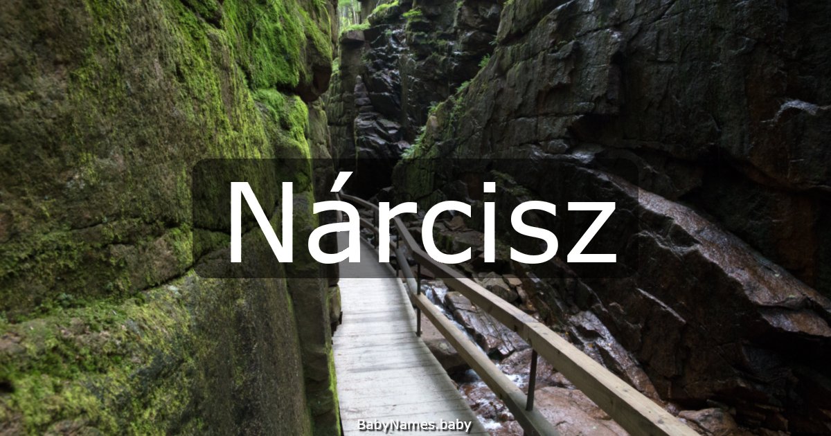 Nárcisz