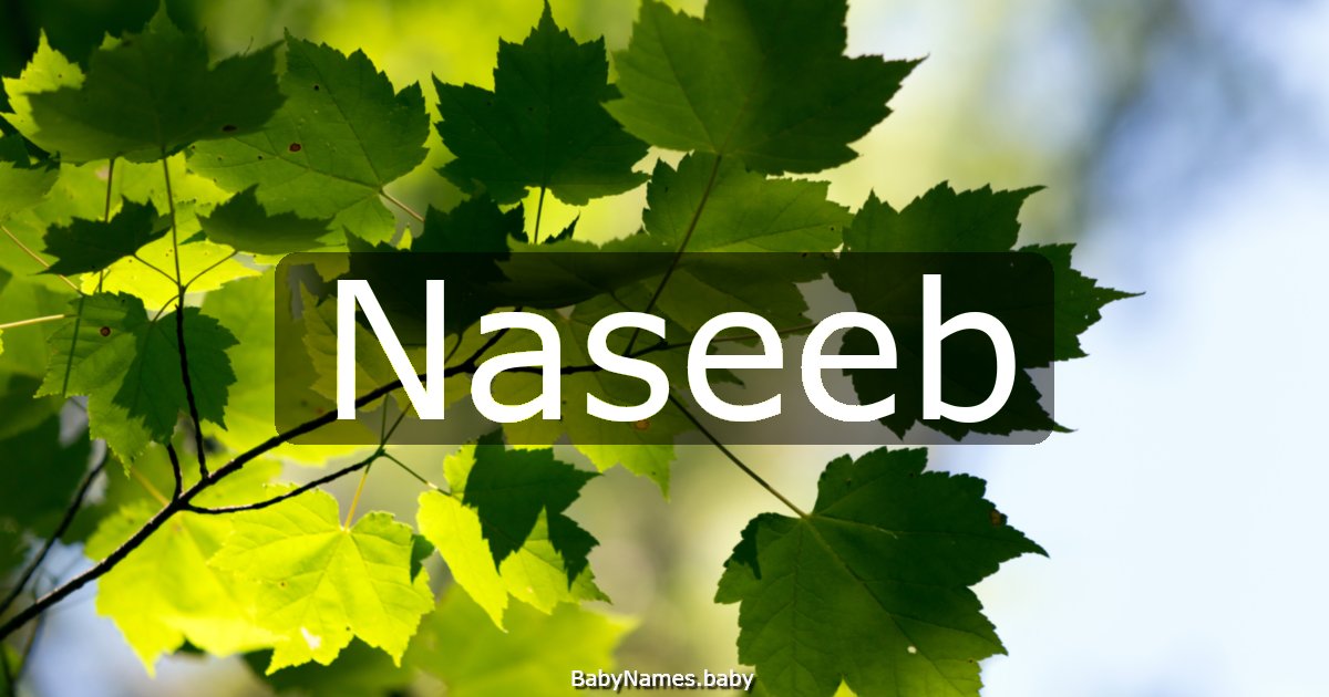 Naseeb