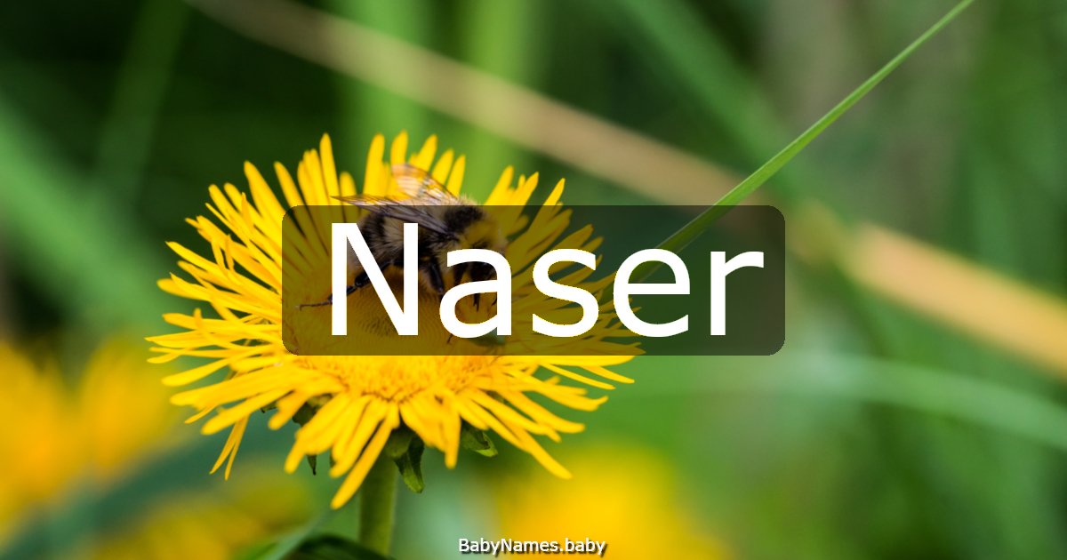Naser