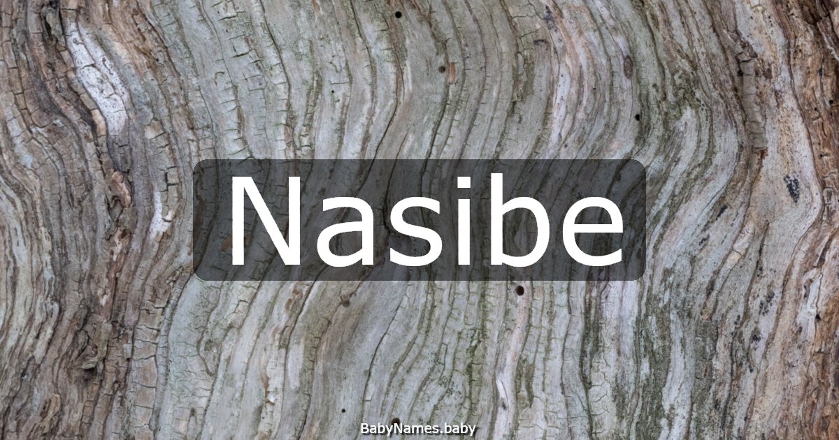 Nasibe